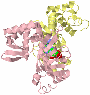 Image Biological Unit 2