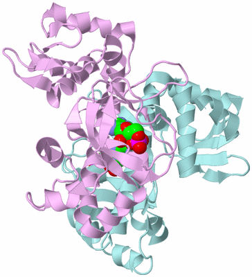 Image Biological Unit 3