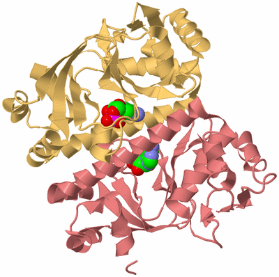 Image Biological Unit 4