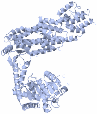 Image Biological Unit 1