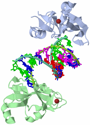 Image Biological Unit 1