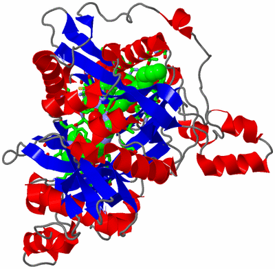 Image Asym./Biol. Unit - sites