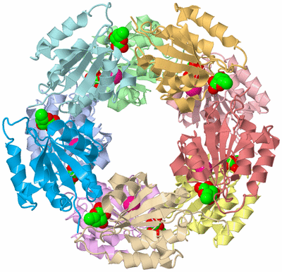 Image Biological Unit 1