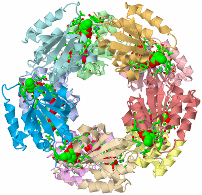 Image Biol. Unit 1 - sites