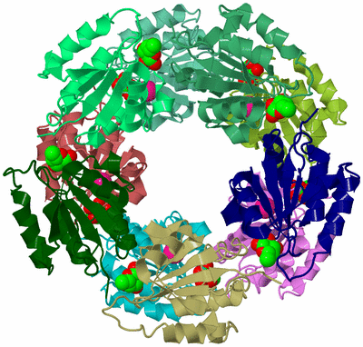 Image Biological Unit 2