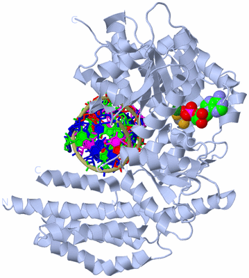 Image Biological Unit 1