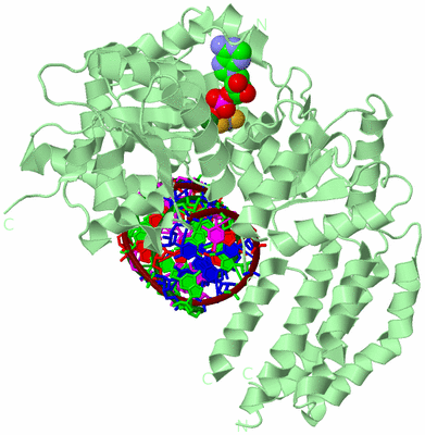 Image Biological Unit 2