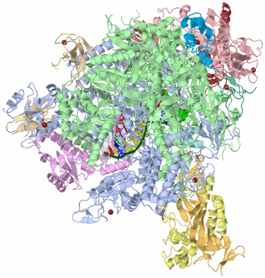 Image Asym./Biol. Unit