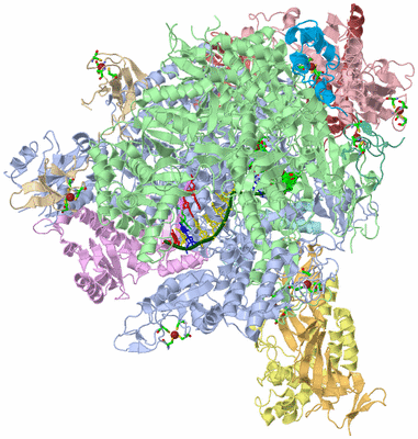 Image Asym./Biol. Unit - sites