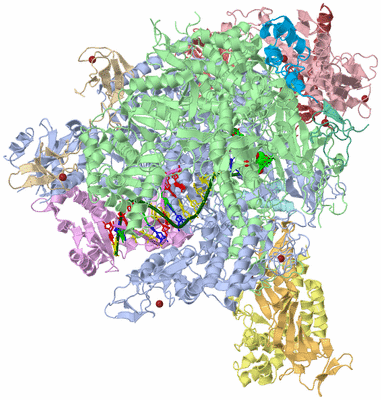 Image Asym./Biol. Unit