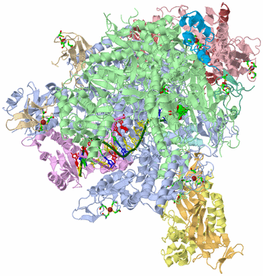 Image Asym./Biol. Unit - sites