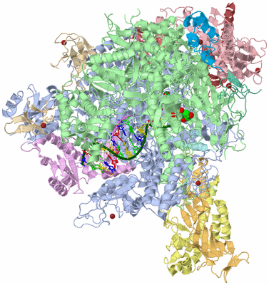 Image Asym./Biol. Unit