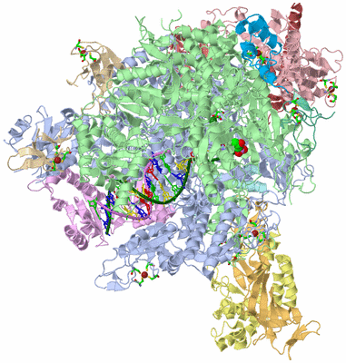 Image Asym./Biol. Unit - sites