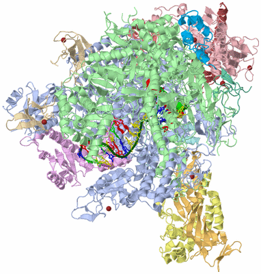 Image Asym./Biol. Unit