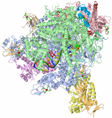 Image Asym./Biol. Unit - sites