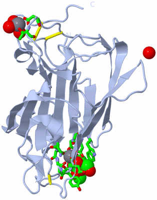 Image Biol. Unit 1 - sites