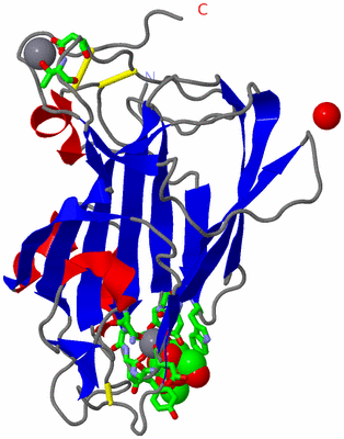 Image Asym. Unit - sites