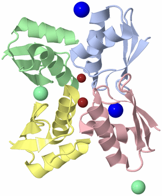 Image Asym./Biol. Unit