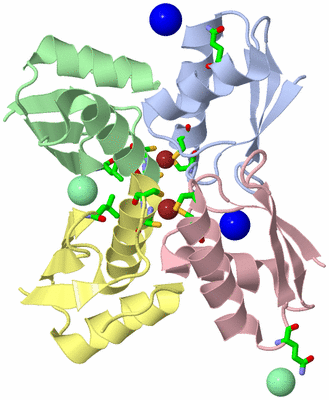 Image Asym./Biol. Unit - sites