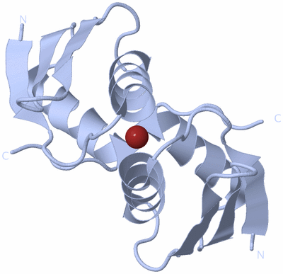 Image Biological Unit 1