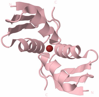 Image Biological Unit 3