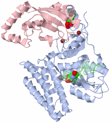 Image Asym./Biol. Unit