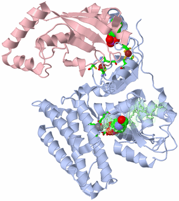 Image Asym./Biol. Unit - sites