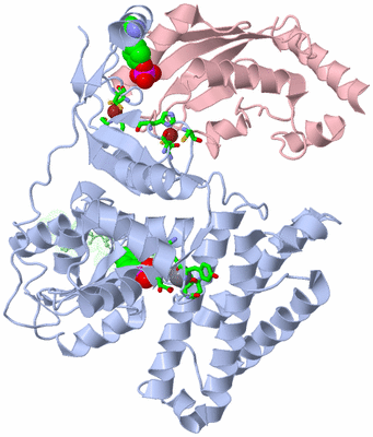 Image Asym./Biol. Unit - sites