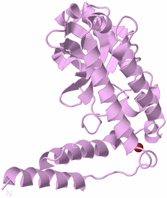 Image Biological Unit 3