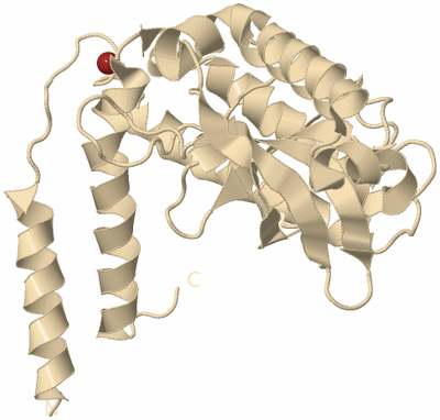 Image Biological Unit 5