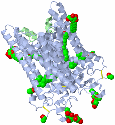 Image Biological Unit 1