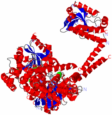 Image Asym./Biol. Unit