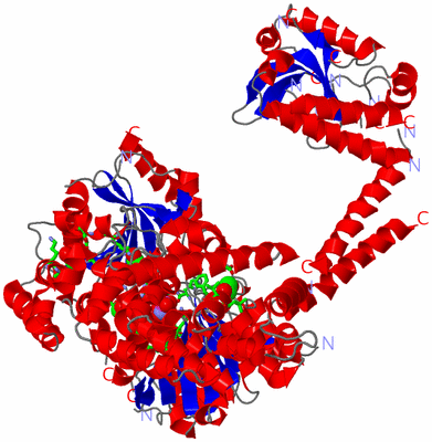 Image Asym./Biol. Unit - sites