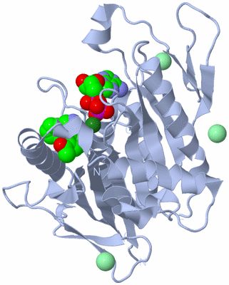 Image Biological Unit 1