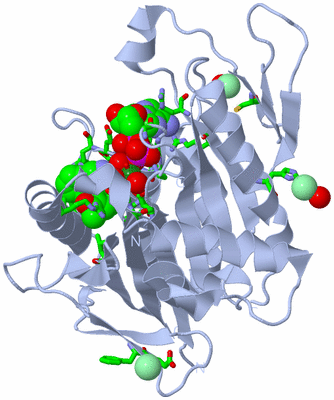 Image Biol. Unit 1 - sites