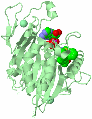 Image Biological Unit 2