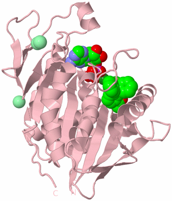 Image Biological Unit 3