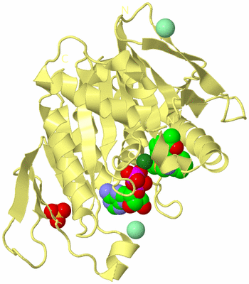 Image Biological Unit 4