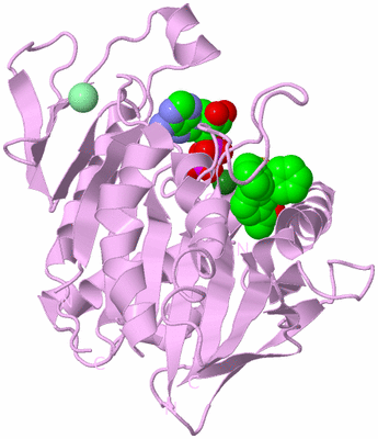 Image Biological Unit 5