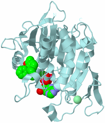 Image Biological Unit 6