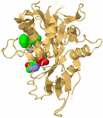 Image Biological Unit 7