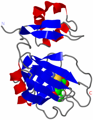 Image NMR Structure - model 1