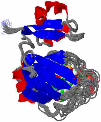 Image NMR Structure - all models