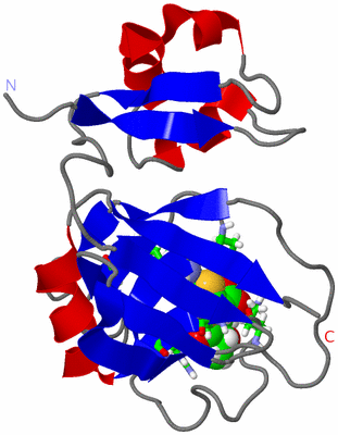 Image NMR Structure - model 1, sites