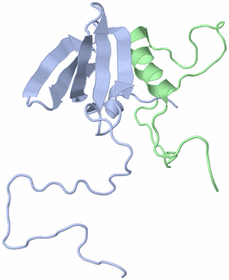 Image NMR Structure - model 1