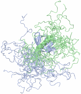 Image NMR Structure - all models