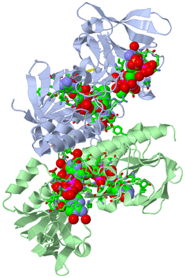 Image Asym./Biol. Unit - sites