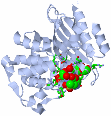 Image Biol. Unit 1 - sites