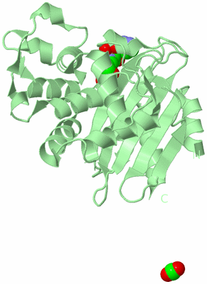 Image Biological Unit 2