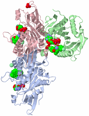 Image Asym./Biol. Unit